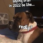 Really... | saying brah in 2022 be like... really? | image tagged in dog really face,really,memes | made w/ Imgflip meme maker