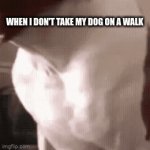 idk | WHEN I DON'T TAKE MY DOG ON A WALK | image tagged in gifs,funny | made w/ Imgflip video-to-gif maker