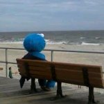 cookie monster beach bench meme