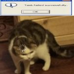 ... wut? | image tagged in cat loading template | made w/ Imgflip meme maker