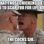 Marines di | WHAT THOSE CHICKENS DO TO YOU TO SCAR YOU FOR LIFE BOY? THE COCKS SIR... | image tagged in marines di | made w/ Imgflip meme maker