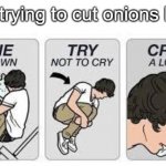 Onions | Me trying to cut onions like: | image tagged in lie don't cry cry a lot | made w/ Imgflip meme maker