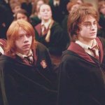 harrussy and ronussy