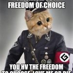 Grammar Nazi Cat | I'M ALL ABOUT FREEDOM OF CHOICE; YOU HV THE FREEDOM TO CHOOSE, LOVE ME OR DIE | image tagged in grammar nazi cat | made w/ Imgflip meme maker