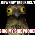 Am i a Psychopath? | I PULL DOWN MY TROUSERS/PANTS USING MY SIDE POCKETS | image tagged in memes,weird stuff i do potoo | made w/ Imgflip meme maker
