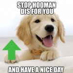 Cute dog idiot | STOP HOOMAN; DIS FOR YOU; AND HAVE A NICE DAY | image tagged in cute dog idiot | made w/ Imgflip meme maker
