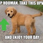 Cute Dog | STOP HOOMAN, TAKE THIS UPVOTE; AND ENJOY YOUR DAY | image tagged in cute dog | made w/ Imgflip meme maker