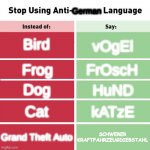 Hmm... | German Bird vOgEl Frog FrOscH Dog HuND Cat kATzE Grand Theft Auto SCHWERER KRAFTFAHRZEUGDIEBSTAHL | image tagged in stop using anti-animal language | made w/ Imgflip meme maker