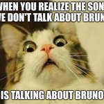 Suprised Cat | WHEN YOU REALIZE THE SONG "WE DON'T TALK ABOUT BRUNO"; IS TALKING ABOUT BRUNO | image tagged in suprised cat,we don't talk about bruno,song | made w/ Imgflip meme maker