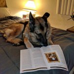 Dog Reading Magazine