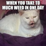 Poggers Cat | WHEN YOU TAKE TO MUCH WEED IN ONE DAY | image tagged in poggers cat | made w/ Imgflip meme maker