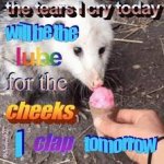 opossum today template