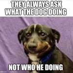sad dog | THEY ALWAYS ASK WHAT THE DOG DOING; NOT WHO HE DOING | image tagged in sad dog | made w/ Imgflip meme maker