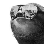 Sloth sunglasses grayscale transparent