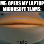 Fish Helo | ME: OPENS MY LAPTOP; MICROSOFT TEAMS: | image tagged in fish helo | made w/ Imgflip meme maker