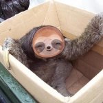 Sloth Happy sloth