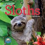 Sloths 2022 calendar meme