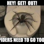 spider toilet | HEY!  GET!  OUT! SPIDERS NEED TO GO TOOO! | image tagged in spider toilet,spider on toilet,toilet spider | made w/ Imgflip meme maker
