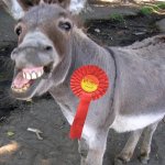 Labour voter