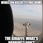 Airplane Giraffe | ME: DID NOT WANT TO FEED THE GIRAFFE AT THE ZOO WIHLE ON VACAY, FLYING HOME; THE GIRAFFE: WHAT'S POPPING? DON'T MIND ME JUST WATCHING. | image tagged in airplane giraffe,dont mind me just watching,flying giraffe,really tall giraffe,funny giraffe,giraffe | made w/ Imgflip meme maker