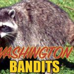 My Submission for the Washington Football Team | WASHINGTON; BANDITS | image tagged in washington dc,nfl memes,commanders,nfl football,trash panda,bandit | made w/ Imgflip meme maker
