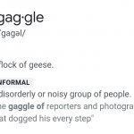 Gaggle