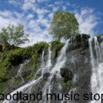 Woodland music stops