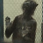 Weasel GIF Template