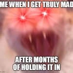 ME VERY MAD | ME WHEN I GET TRULY MAD; AFTER MONTHS OF HOLDING IT IN | image tagged in angry cat,mad,cats,cat explosion | made w/ Imgflip meme maker