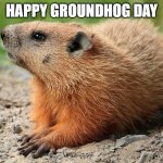 Happy Groundhog Day | HAPPY GROUNDHOG DAY | image tagged in groundhog,memes,funny memes,funny,funny meme,so true memes | made w/ Imgflip meme maker