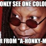 Whoopi gets a slap on the wrist | I ONLY SEE ONE COLOR. I SUFFER FROM "A-HONKY-MATISM" | image tagged in whoopi goldberg,holocaust,hitler,black people | made w/ Imgflip meme maker