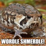 Wordle Shmerdle! | WORDLE SHMERDLE! | image tagged in memes,grumpy toad | made w/ Imgflip meme maker