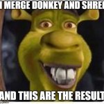 SHREK AND DONKEY FUSION | I MERGE DONKEY AND SHREK; AND THIS ARE THE RESULT | image tagged in shreck donkey | made w/ Imgflip meme maker