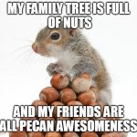 Gray Squirrel with pile of nuts | MY FAMILY TREE IS FULL
 OF NUTS; AND MY FRIENDS ARE ALL PECAN AWESOMENESS | image tagged in gray squirrel with pile of nuts | made w/ Imgflip meme maker