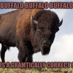 Buffalo | BUFFALO BUFFALO BUFFALO BUFFALO BUFFALO; YES, THIS IS A GRAMTICALLY CORRECT SENTENCE. | image tagged in buffalo | made w/ Imgflip meme maker