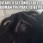 When you just want to sleep in | YOU ARE 4 SECONDS LATE FOR FOOD HOOMAN PREPARE TO BE PUNISHED | image tagged in cat look down on u | made w/ Imgflip meme maker