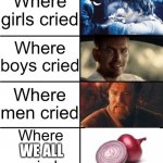 *cries* | WE ALL | image tagged in where girls cried,memes | made w/ Imgflip meme maker