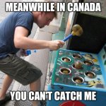 Whack a Mole | MEANWHILE IN CANADA; YOU CAN'T CATCH ME | image tagged in whack a mole | made w/ Imgflip meme maker