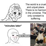 omg moth :3 | MOTH FURSUIT | image tagged in the only constant is suffering,furry,fursuit,the furry fandom,cute | made w/ Imgflip meme maker