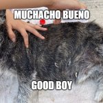 GoodBoy