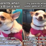 I’ve had straight A’s on all of my report cards, and when I make the occasional B on an assignment, my parents get pissed off | my parents when I get a B on a test; my parents when my sister gets an F on a test; “I’m sorry about that awful grade sweetheart. Better luck next time.”; “You won’t get into college with those shitty grades dumbass!” | image tagged in lily lu,high school,parents,amogus,oh wow are you actually reading these tags | made w/ Imgflip meme maker