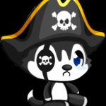 Pirate husky crying meme