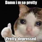 cat memes | Damn i m so pretty; Pretty  depressed | image tagged in cat cry,cat,cats,funny cat memes,cat memes,cat meme | made w/ Imgflip meme maker