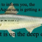 Larry the Pilchard | I have pleasure to inform you, the Monterey Bay Aquarium is getting a new exhibit. The exhibit is on the deep ocean. | image tagged in larry the pilchard | made w/ Imgflip meme maker