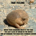 Sad Burrow Toad | THAT FEELING; WHEN YOUR GRANDMA INSISTS YOU TAKE THE LAST SLICE OF BREAD IN THE HOUSE AND AFTERWARD YOU HEAR HER STOMACH GROWL. | image tagged in sad burrow toad,guilt,funny animals,dark humor | made w/ Imgflip meme maker