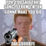 "Hey this song is from tiktok" | POV: YOU SAID THAT SONG IS FROM TIKTOK | image tagged in gonna make you die,tiktok sucks,say goodbye,you know the rules and so do i say goodbye | made w/ Imgflip meme maker