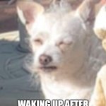 Old man doggo hungover from 2 glasses of wine | WAKING UP AFTER 2 GLASSES OF WINE AT 30 | image tagged in old man doggo,hungover,doggo,wine,waking up brain | made w/ Imgflip meme maker