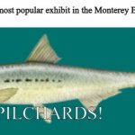 Larry the Pilchard | Nobody: The most popular exhibit in the Monterey Bay Aquarium. It's all PILCHARDS! | image tagged in larry the pilchard | made w/ Imgflip meme maker