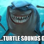 Turtle Shark | YUM....TURTLE SOUNDS GOOD | image tagged in fish are friends not food | made w/ Imgflip meme maker