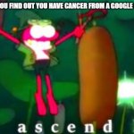 Sprig Ascends | WHEN YOU FIND OUT YOU HAVE CANCER FROM A GOOGLE SEARCH | image tagged in sprig ascends | made w/ Imgflip meme maker